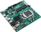 ASUS Prime H310T R2.0 (Intel 1151 v2) Vorschaubild
