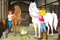 Schmidt Spiele Bibi & Tina Puzzle-Box - im Metallkoffer Vorschaubild