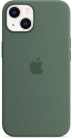 Apple Silikon Case mit MagSafe für iPhone 13 Eukalyptus