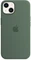 Apple Silikon Case mit MagSafe für iPhone 13 Eukalyptus Vorschaubild