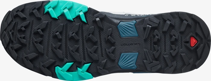 Salomon X Ultra 4 GTX lunar rock/ebony/mint leaf (Damen)