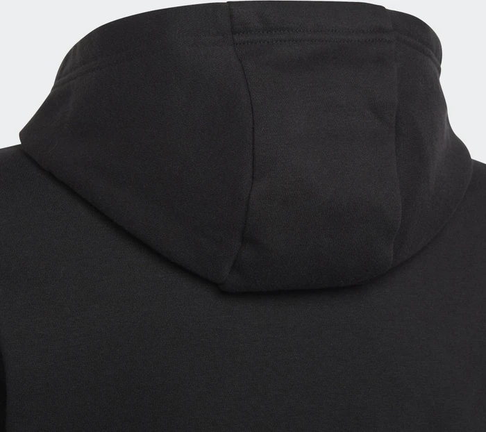 adidas Entrada 22 Sweat Hoodie schwarz (Junior)