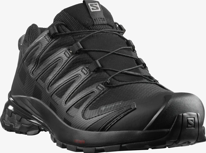 Salomon XA Pro 3D V8 GTX black/phantom (Damen)