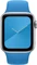 Apple Sportarmband Regular für Apple Watch 40mm surfblau Vorschaubild