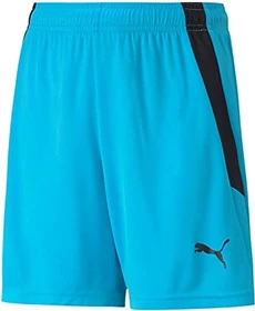 Puma TeamLIGA Shorts Trainingshose kurz blue atoll/puma black (Junior)