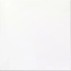 Gira System 55 Wippe, reinweiß seidenmatt