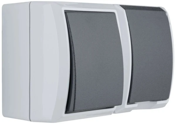 REV Ritter AquaForm Aus-/Wechselschalter + Steckdose AP IP44 waagerecht, grau
