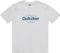 Quiksilver EV Shape All Day T-Shirt kurzarm (Herren) Vorschaubild