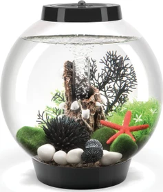 Oase biOrb Classic 15 MCR Aquarium schwarz