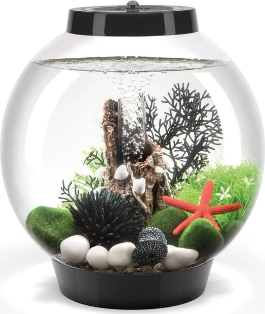 Oase biOrb Classic 15 MCR Aquarium schwarz