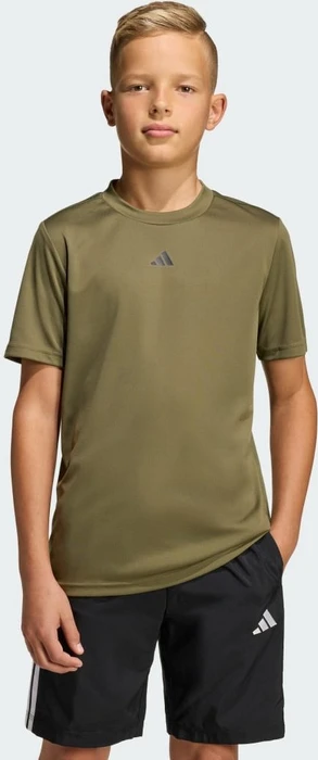 adidas Train Essentials Logo Regular Fit Funktionsshirt kurzarm olive strata/black (Junior)