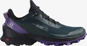 Salomon Cross Over GTX ponderosa pine/black/royal lilac (Damen)