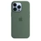 Apple Silikon Case mit MagSafe für iPhone 13 Pro Eukalyptus Vorschaubild
