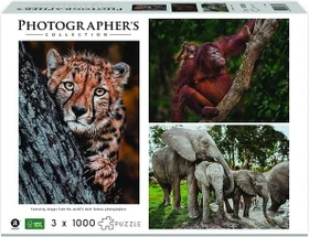 Ambassador Photographers Collection Wildtier-Familien