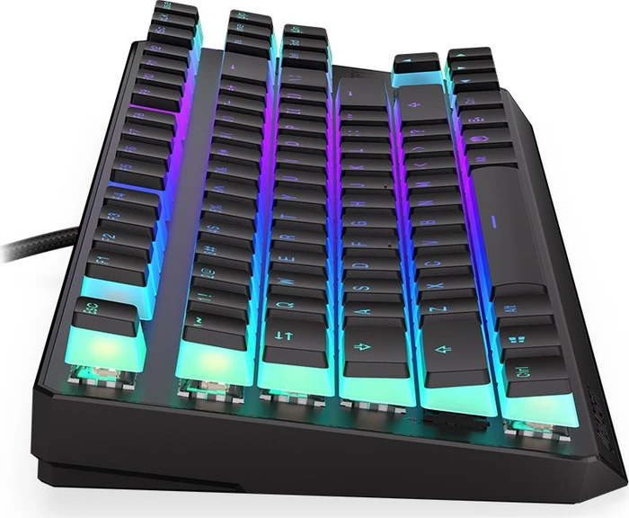 Endorfy Thock TKL Wireless Pudding, PBT, LEDs RGB, hot-swap, Kailh Box RED, USB/Bluetooth, US