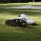 adidas Samba Spikeless Golf cloud white/core black/gum Vorschaubild
