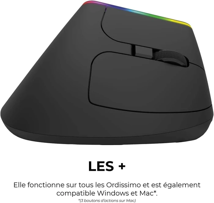 Ordissimo Ergonomic Vertical Wireless Mouse schwarz, USB