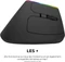Ordissimo Ergonomic Vertical Wireless Mouse schwarz, USB Vorschaubild