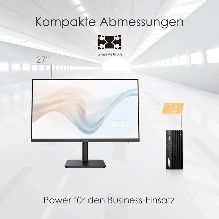 MSI PRO DP20Z 5M-007DE, Ryzen 5 5600G, 8GB RAM, 256GB SSD