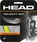 Head Velocity MLT Vorschaubild