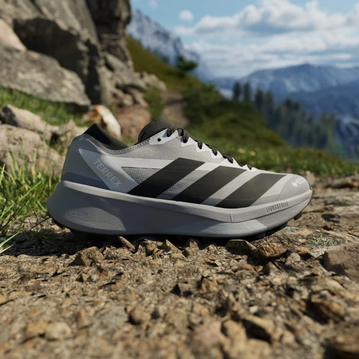 adidas Terrex Agravic GTX 2 grey three/core black/semi impact orange (Herren)
