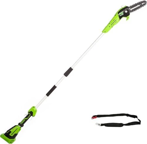 Greenworks Tools G40PSF Akku-Hochentaster solo