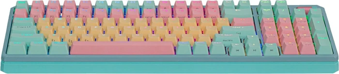 Cooler Master MK770, Macaron, LEDs RGB, hot-swap, Kailh Box V2 RED, USB/Bluetooth, DE