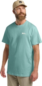 Jack Wolfskin Essential T-Shirt kurzarm soft jade (Herren)