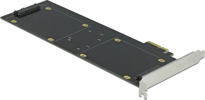 DeLOCK PCIe -> 4x 2.5" HDD/SSD