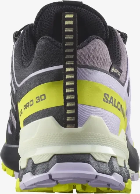 Salomon XA Pro 3D V9 GTX moonspace/orchid petal/sulphur spring (Damen)