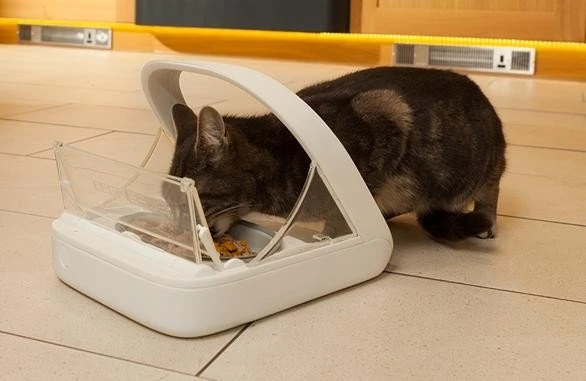 Sure Petcare SureFeed Microchip PetFeeder Futterautomat