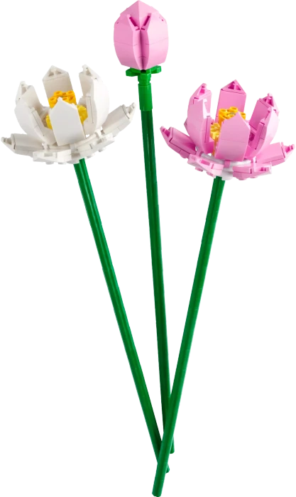 LEGO Botanicals - Lotusblumen