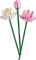 LEGO Botanicals - Lotusblumen Vorschaubild