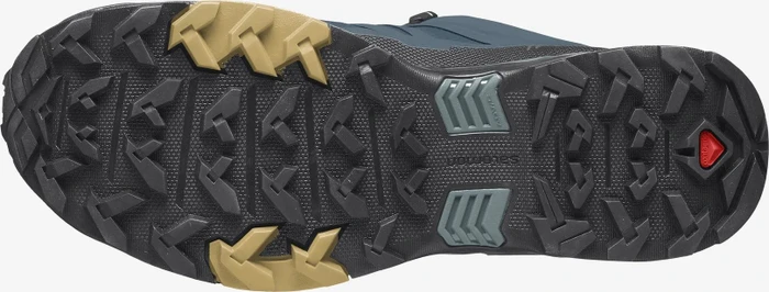 Salomon X Ultra 4 GTX legion blue/black/fall leaf (Herren)