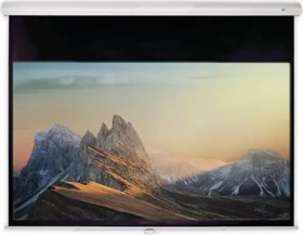 Deluxx Advanced Rolloleinwand Slowmotion 16:9 Mattweiss Polaro 266x148cm