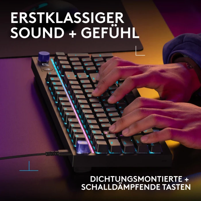 Logitech G316 X 98, schwarz, Tactile Switch, USB, DE