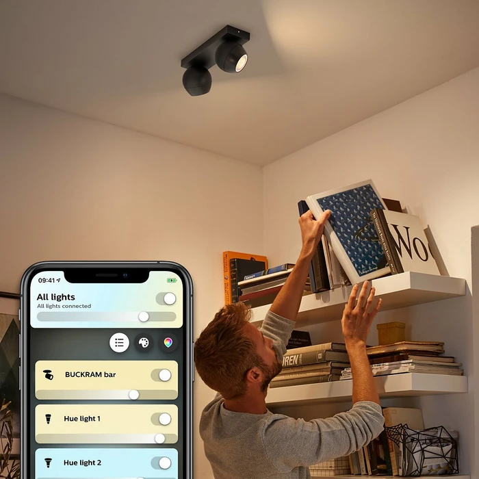 Philips Hue White Ambiance Buckram 2-flammig schwarz