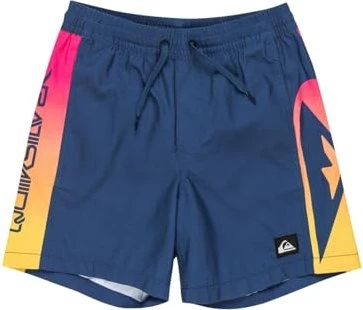 Quiksilver Everyday Holmes 14" Badeshorts (Junior)