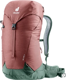 Deuter AC Lite 24 redwood/ivy