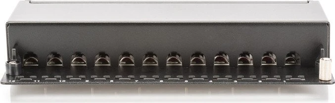 Digitus Professional Patchpanel Cat6a, schwarz, 12-Port