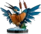 LEGO Icons - Eisvogel Vorschaubild