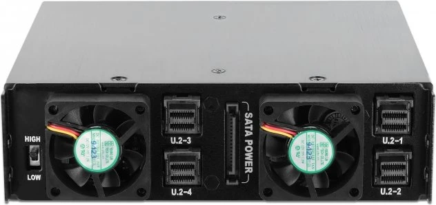 DeLOCK 5.25" Mobile Rack for 4 x 2.5" U.2 NVMe SSD with lockable Trays