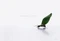 Speedlink Lares Notebook Skin M working ant Vorschaubild