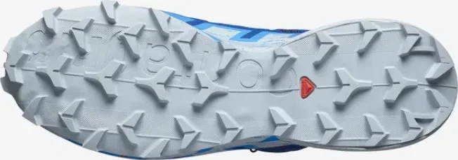 Salomon Speedcross 6 GTX blue print/ibiza blue/quarry (Herren)