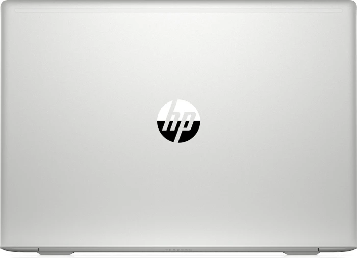 HP ProBook 450 G6, silber, Core i7-8565U, 32GB RAM, 256GB SSD, 1TB HDD, GeForce MX130, DE