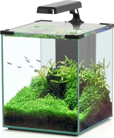 Aquatlantis Nano Cubic 30 Aquarium-Set, Black High Gloss, 26l