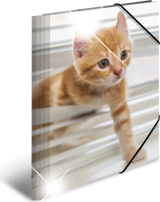 Herma Glossy Tiere Sammelmappe, A4, Katzen, 3er-Pack