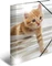 Herma Glossy Tiere Sammelmappe, A4, Katzen, 3er-Pack Vorschaubild