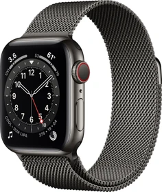 Apple Watch Series 6 (GPS + Cellular) 40mm Edelstahl graphit mit Milanaise-Armband graphit