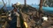 Assassin's Creed: The Rebel Collection (Switch) Vorschaubild
